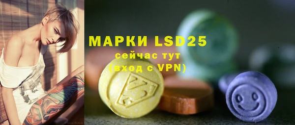 стаф Карпинск