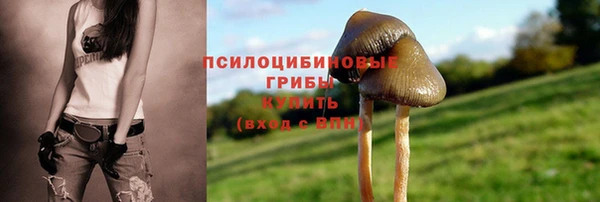 стаф Карпинск