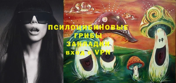 apvp Карталы