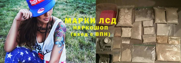 стаф Карпинск