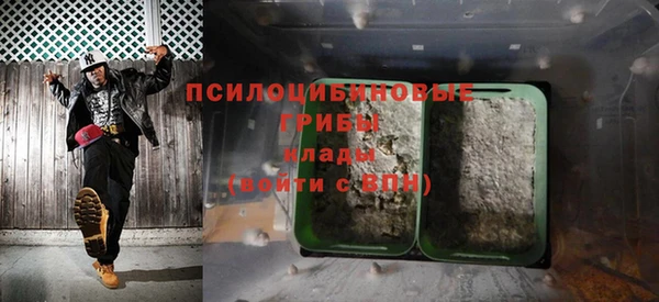 стаф Карпинск