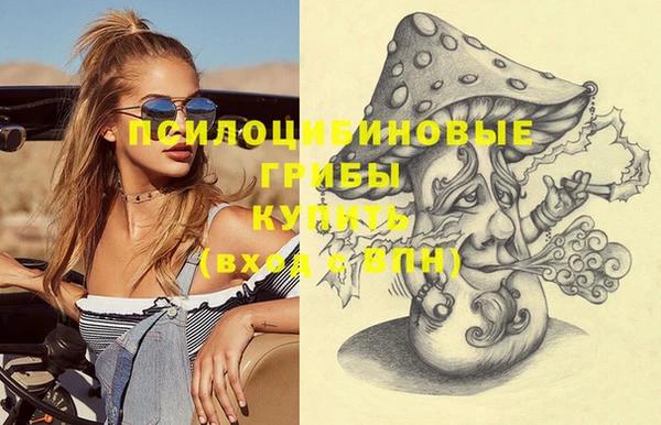 стаф Карпинск