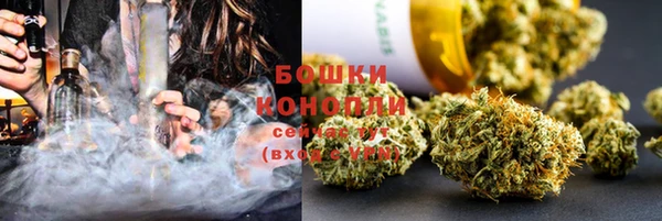 стаф Карпинск