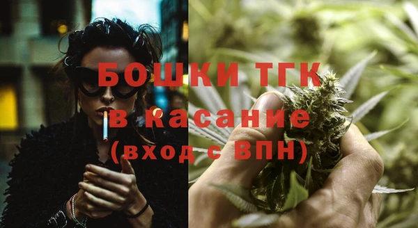 стаф Карпинск