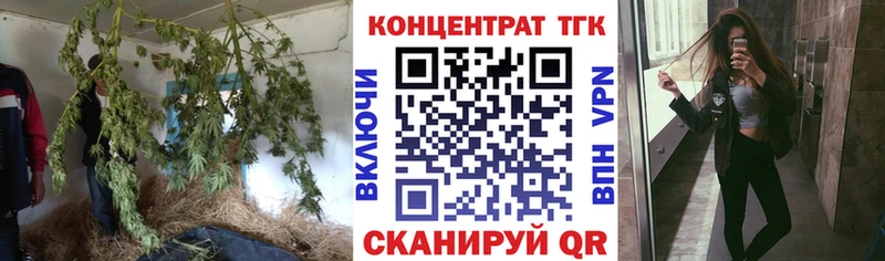 ТГК концентрат  Купить где  Заинск 